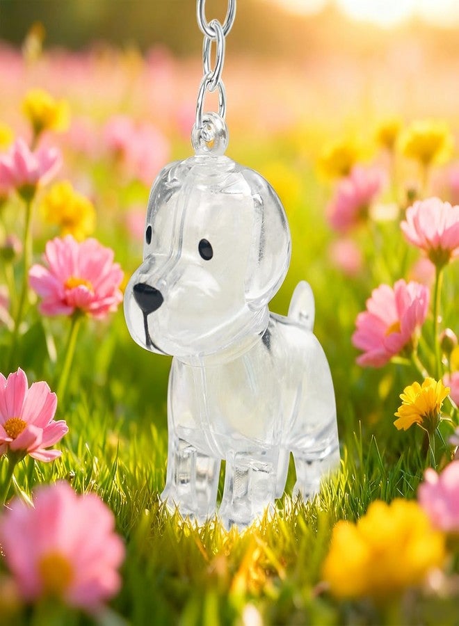 ايلان تذكار شعر الكلاب من إيلان، عبوة من قطعتين، تذكار تذكاري لشعر الحيوانات الأليفة، سلسلة مفاتيح تذكارية لشعر الحيوانات الأليفة (كلاب شفافة) - Image 4